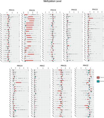 Pan-Cancer Study on Protein Kinase C Family as a Potential Biomarker for the Tumors Immune Landscape and the Response to Immunotherapy